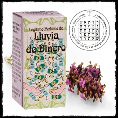 Lluvia de Dinero