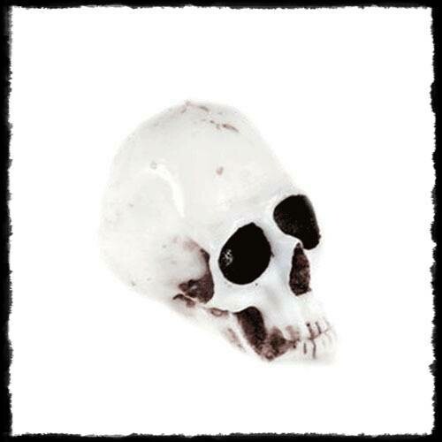 Calavera Blanca