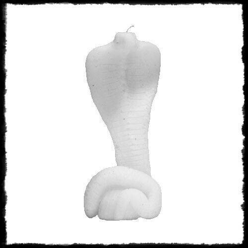 Cobra Blanca