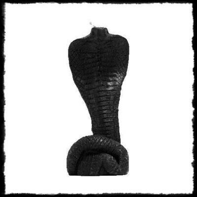 Cobra Negra