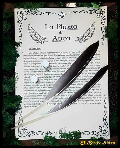 Pluma del Auca