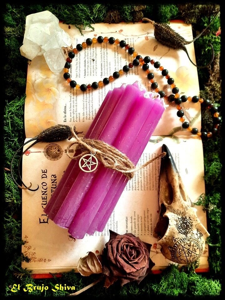 Violeta (12 Ud.)