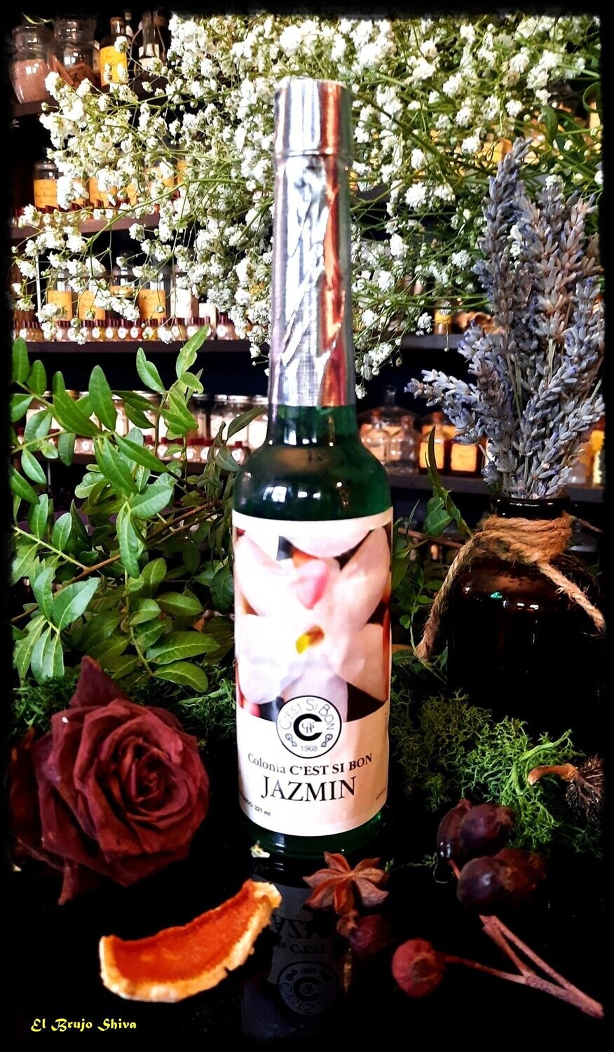 Jazmín