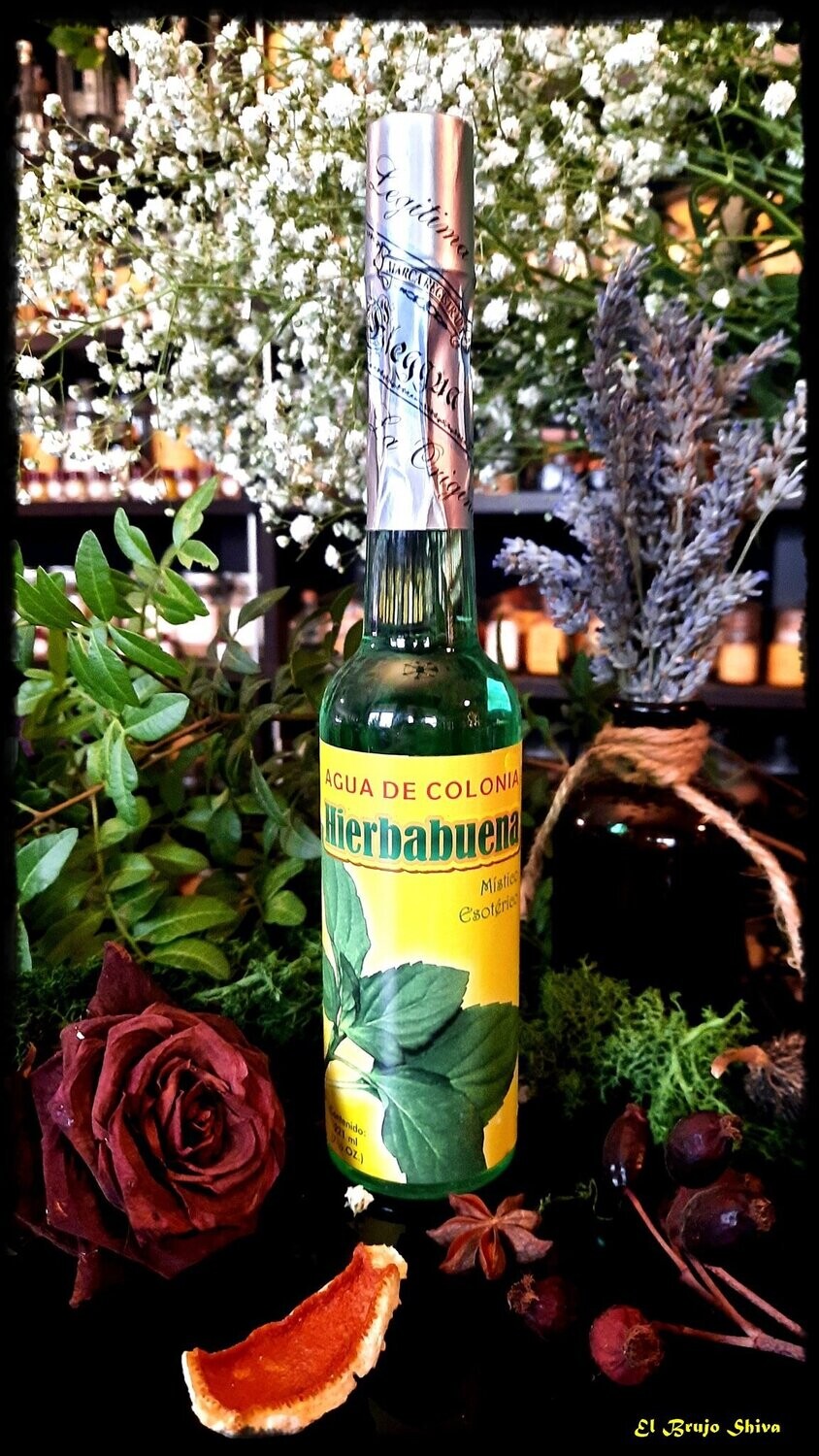 Hierbabuena