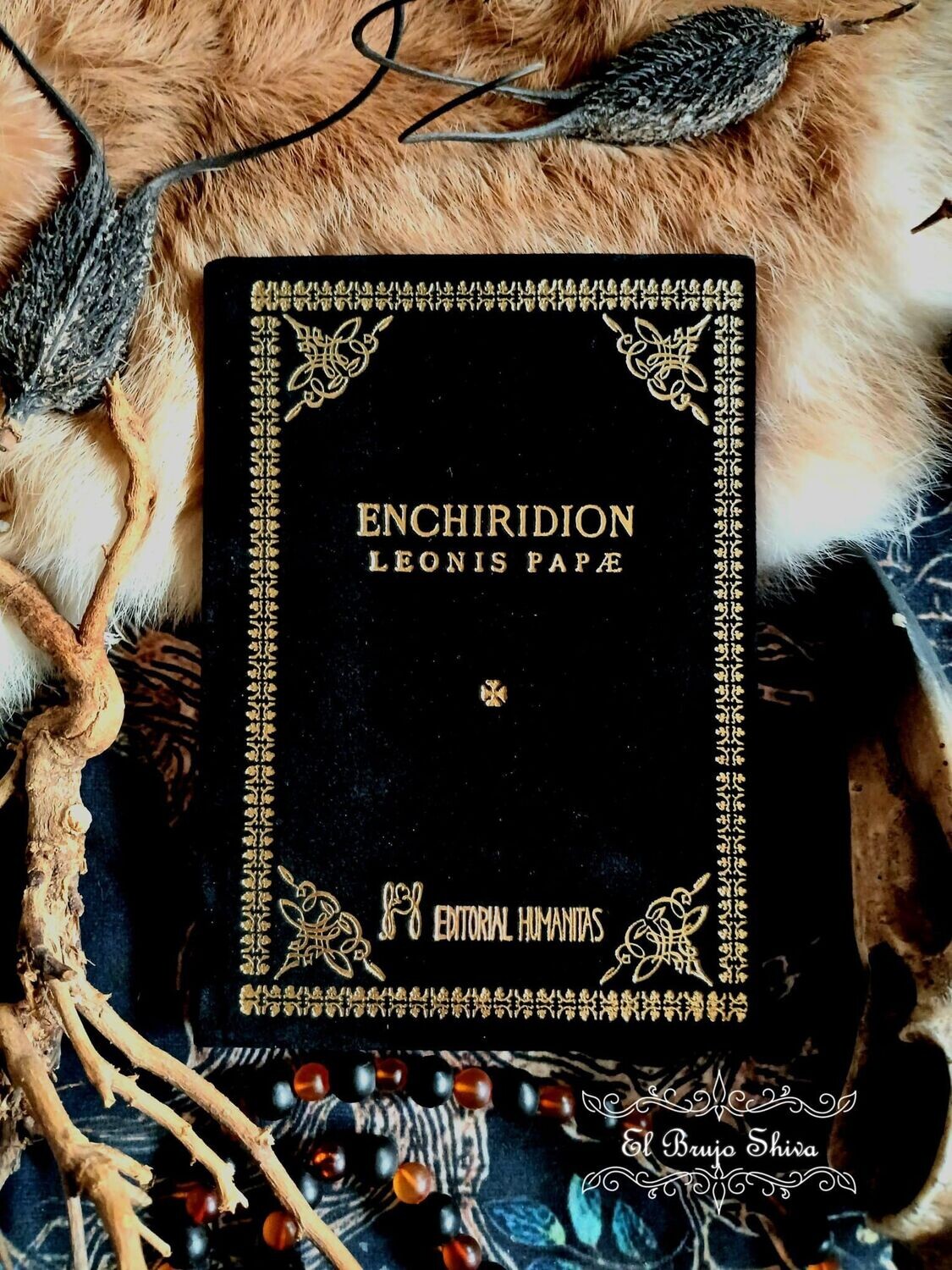 El Enquiridión Leonis Papae