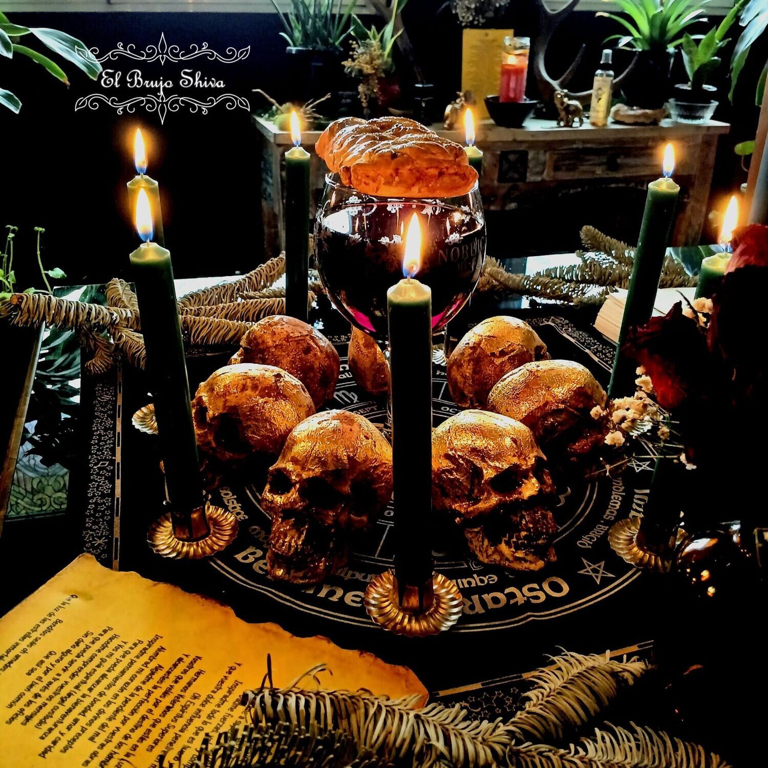El Centro de las 7 Calaveras de Oro