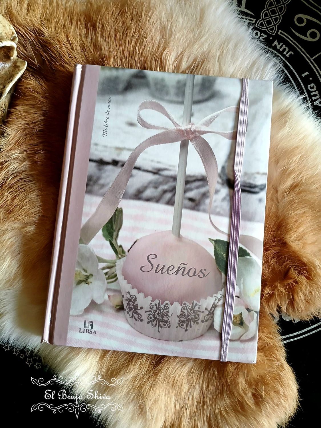 Libreta Notas