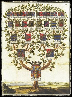 Análisis Transgeneracional