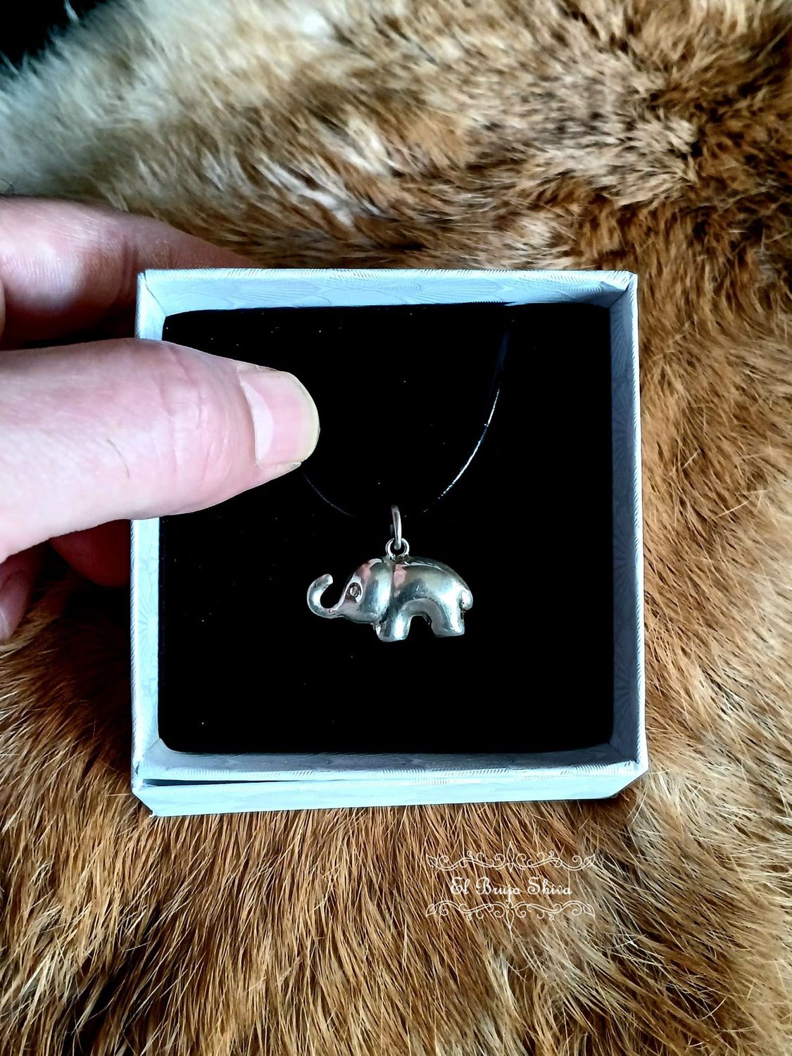 Elefante suerte