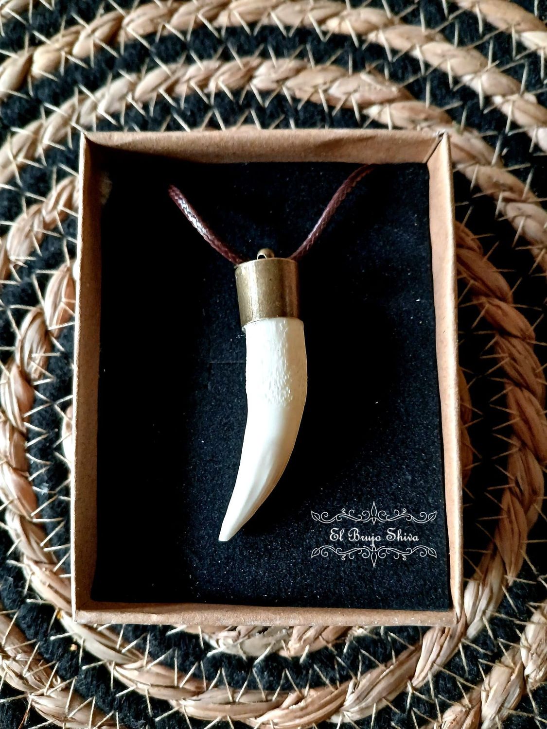 Colmillo de Cocodrilo