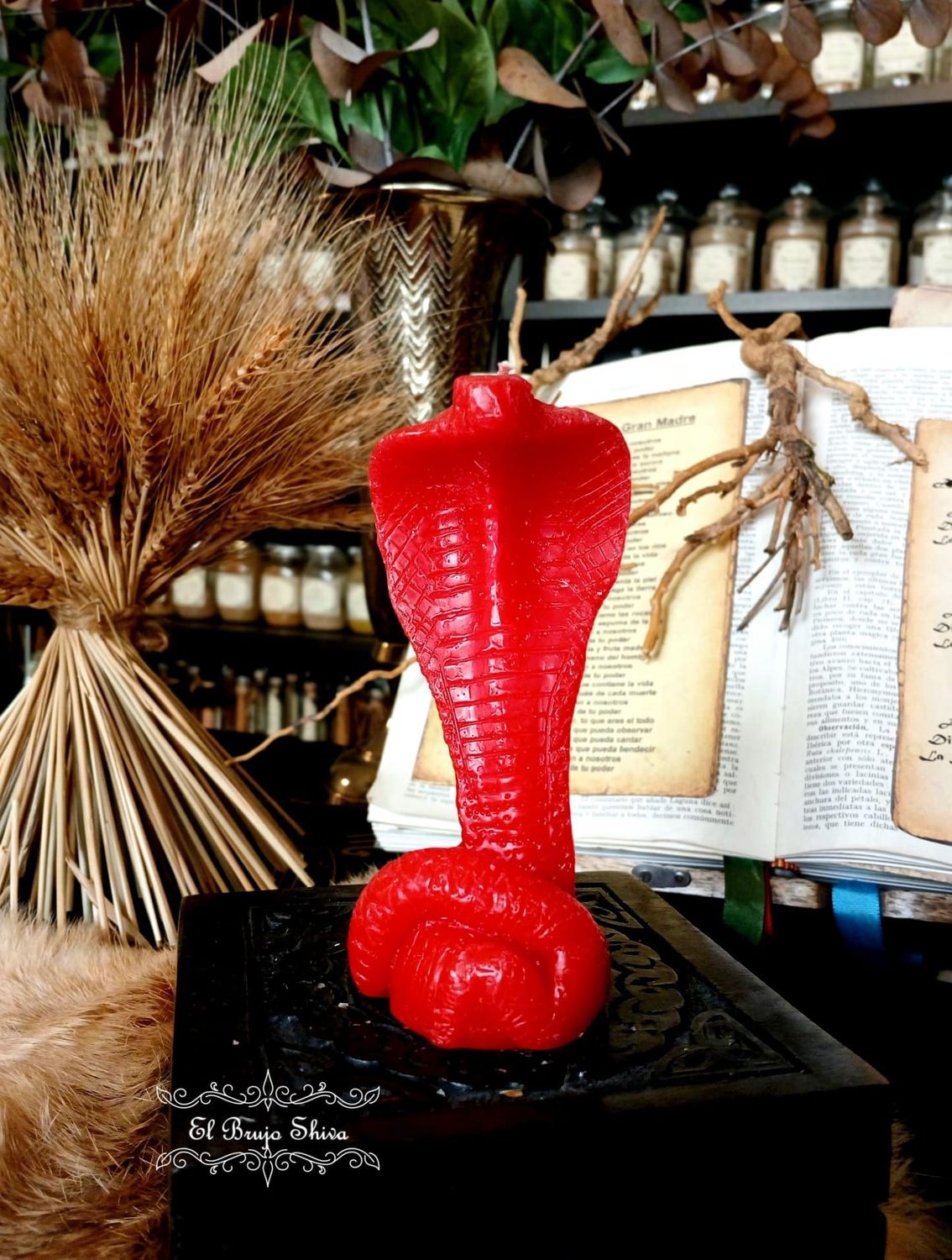 Cobra roja