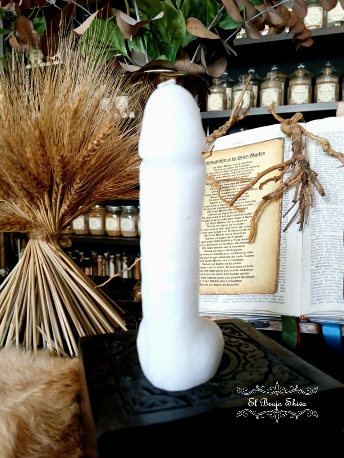 Falo blanco