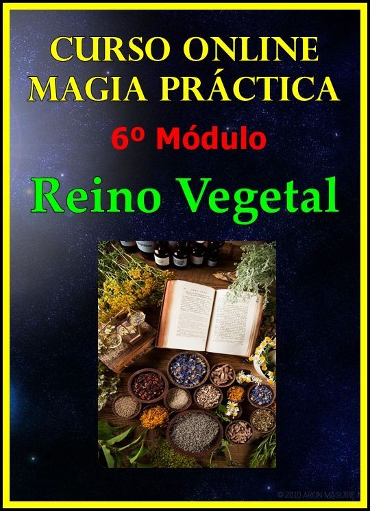 6º Módulo (Magia Vegetal)