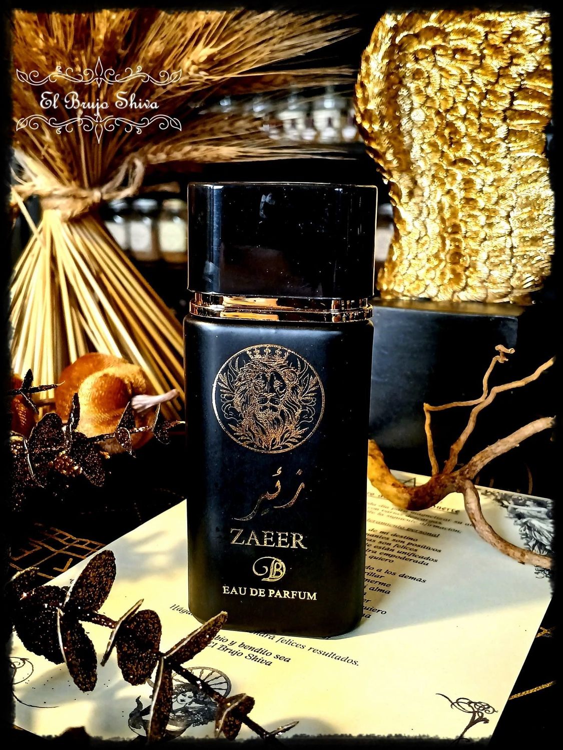 Zaeer brillante (Hombre)