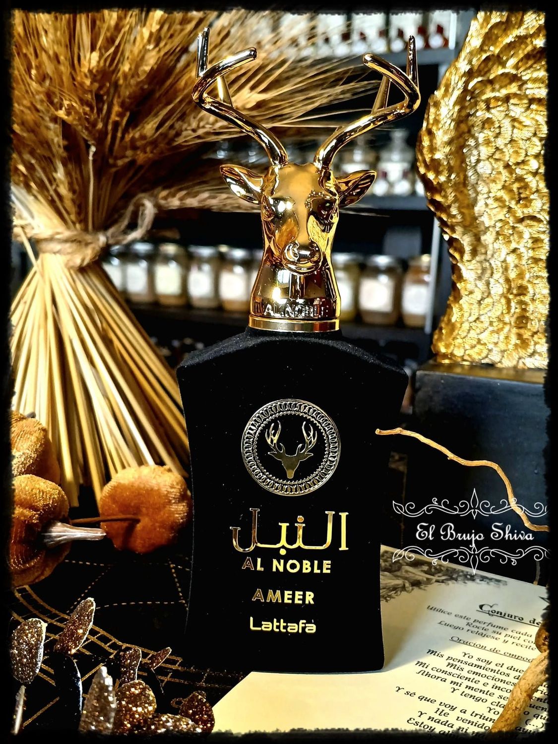 Noble acción (Hombre)