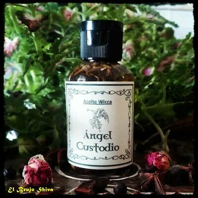 Ángel custodio Ángel custodio