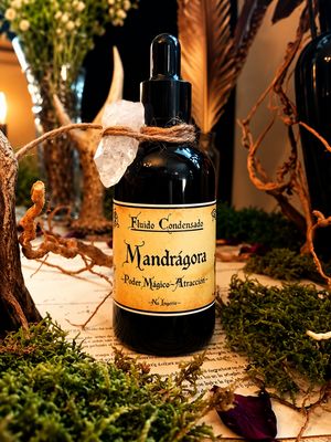 Mandrágora Mandrágora