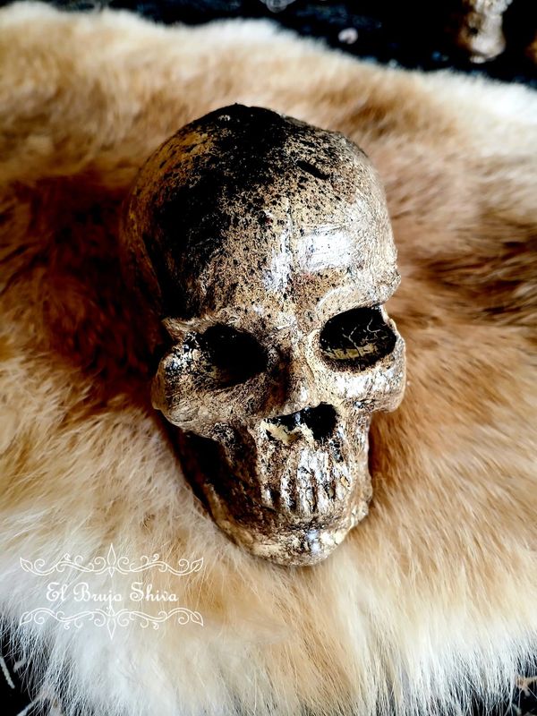 Calavera Protectora (Policía astral)