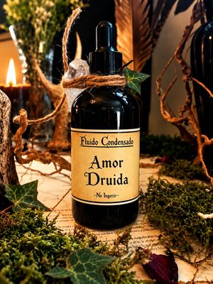 Amor Druida Amor Druida