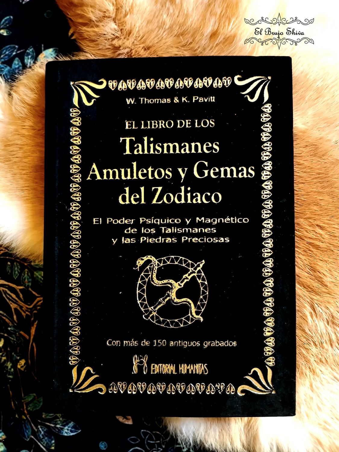 Talismanes, amuletos y gemas del zodiaco