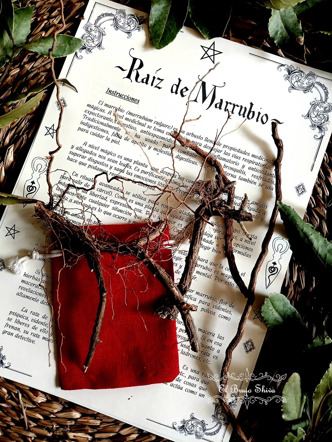 Raíz de Marrubio (detector)