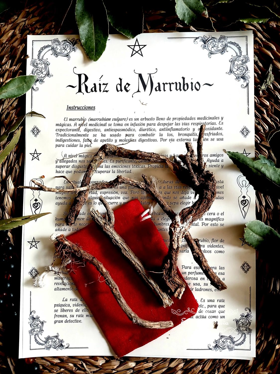 Raíz de Marrubio (detector)