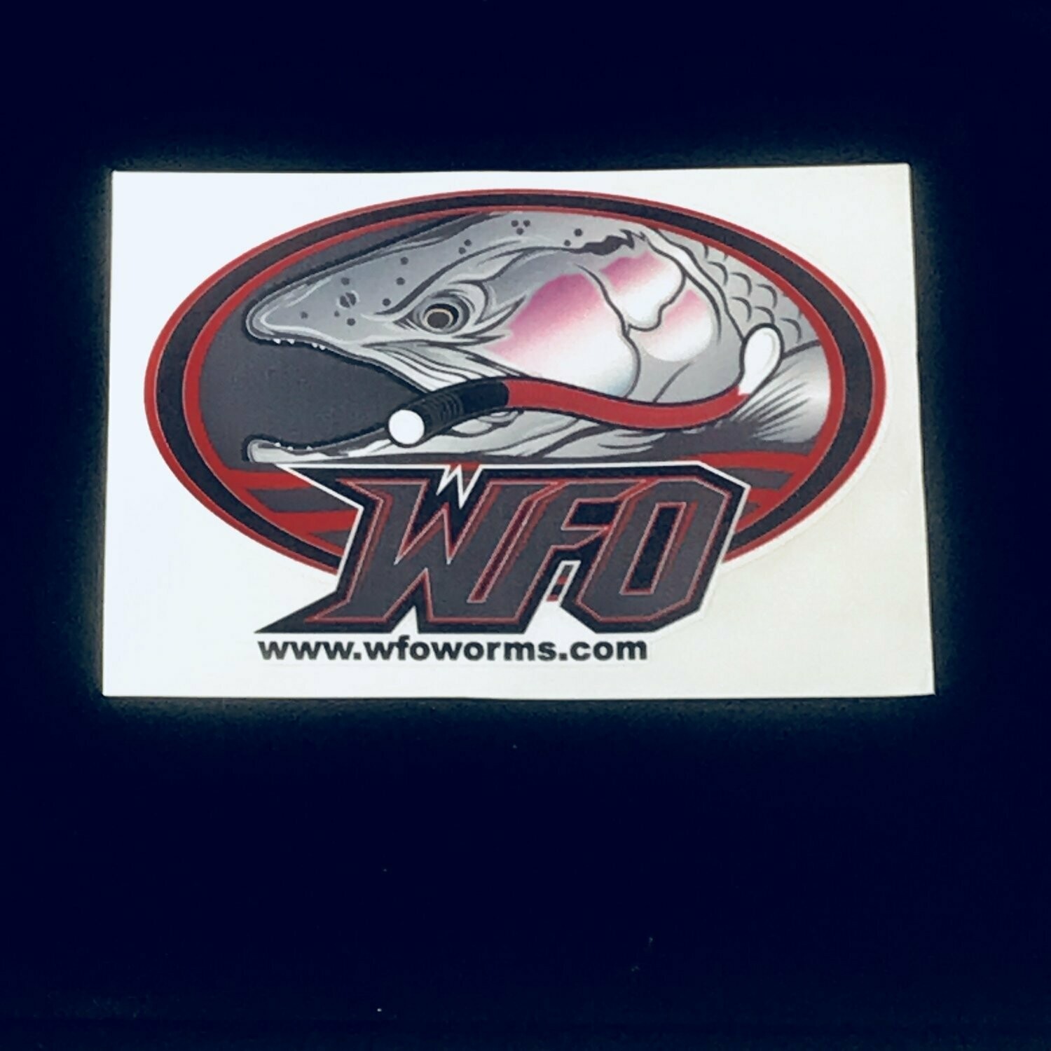 WFO STICKERS, WFO STICKERS: 3-1/2&quot;x5&quot; LVE, Steelhead Sticker