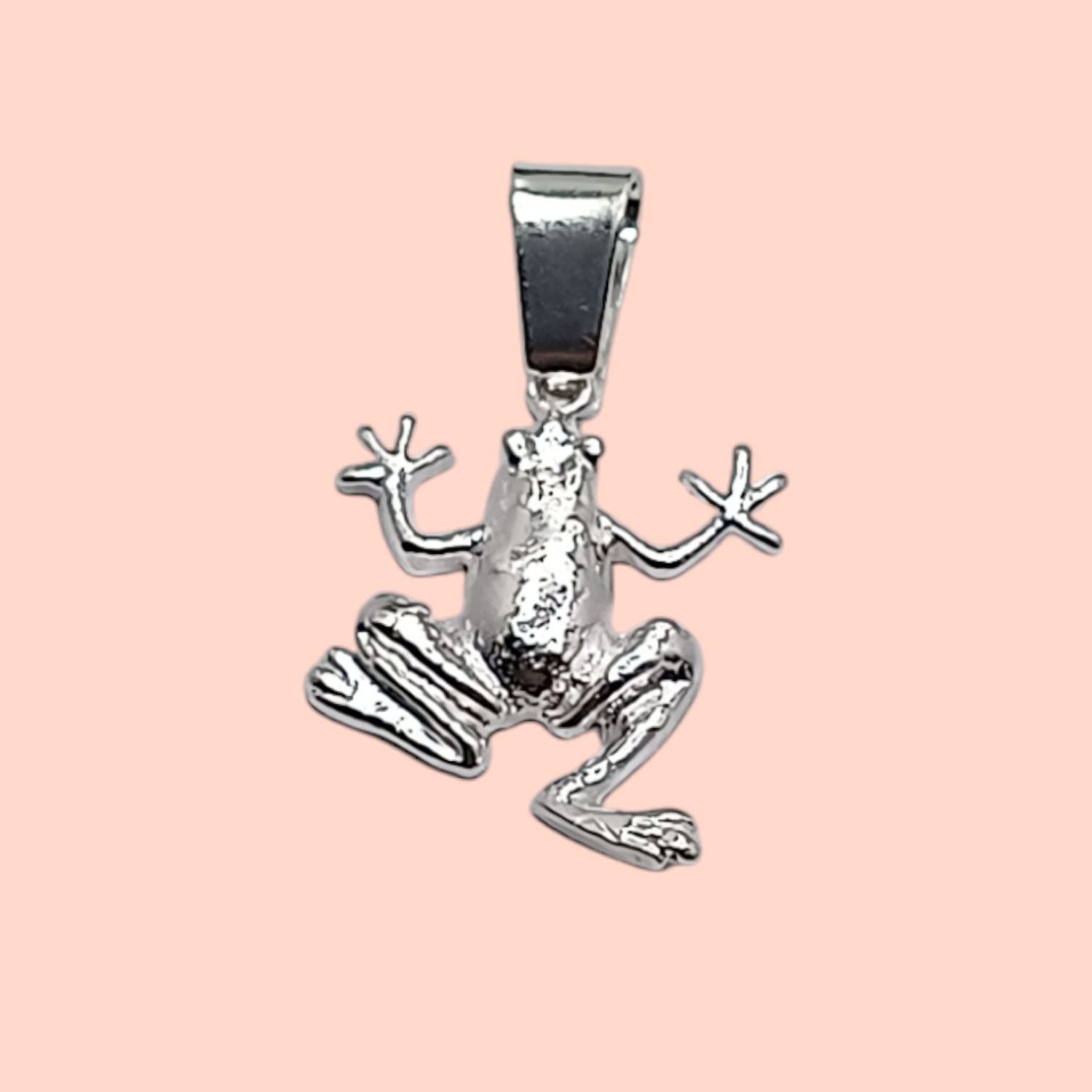 Dije de rana 2cm PLATA .925
