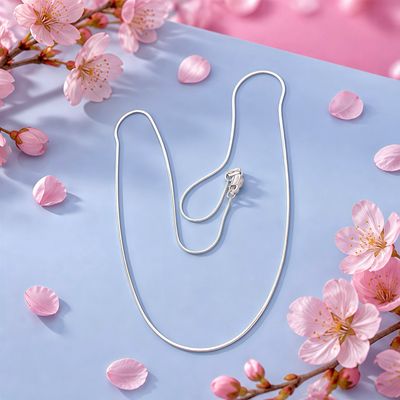 Cadena Cola de Rata 20" de largo plata 925 Mexicana