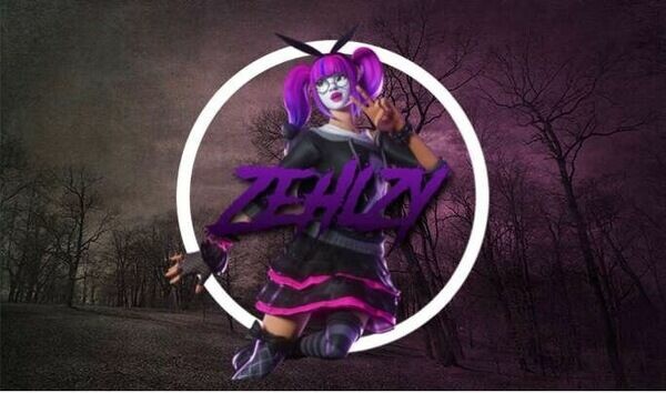 Zehlzys Fortnite Services