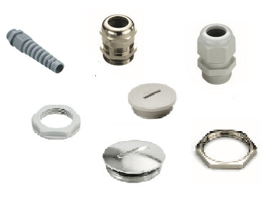 GLANDULAS Y TAPONES