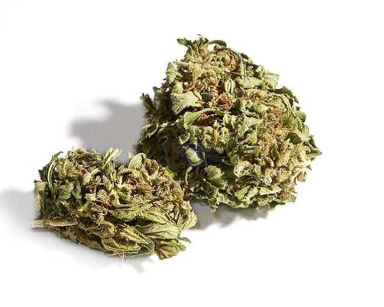 Eletta Campana By Widz - Premium 100% Organic Quality - From €35 for 5 grams (Bulk discount prices offered)