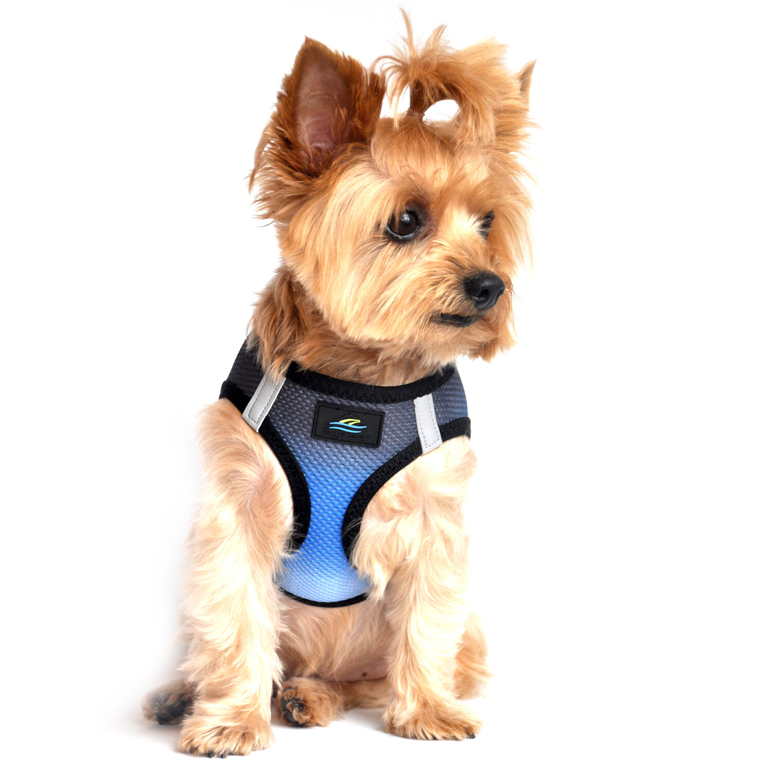 American River Dog Harness Ombre Collection- Midnight Sky