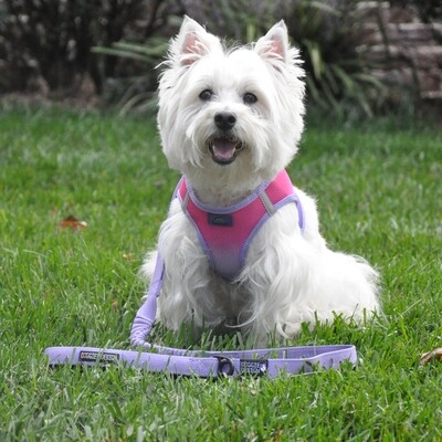 Soft Pull Traffic Dog Leash - Red