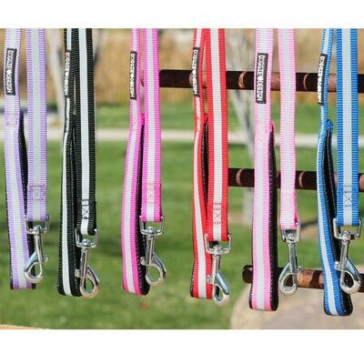 Basic Reflective Dog Leash - Paisley Purple