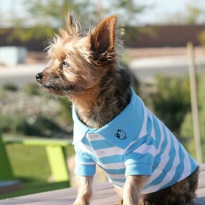 Polos Striped - Blue Niagra &amp; White