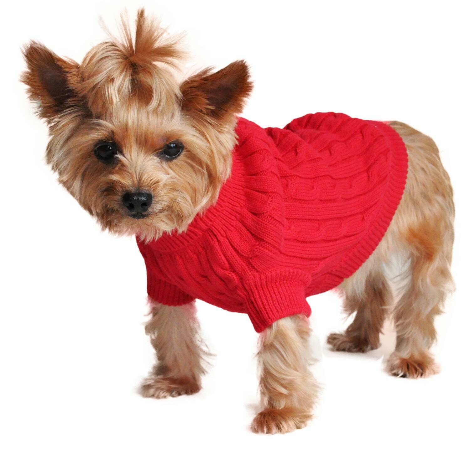 Dog Cable Knit 100% Cotton Sweater-Fiery Red