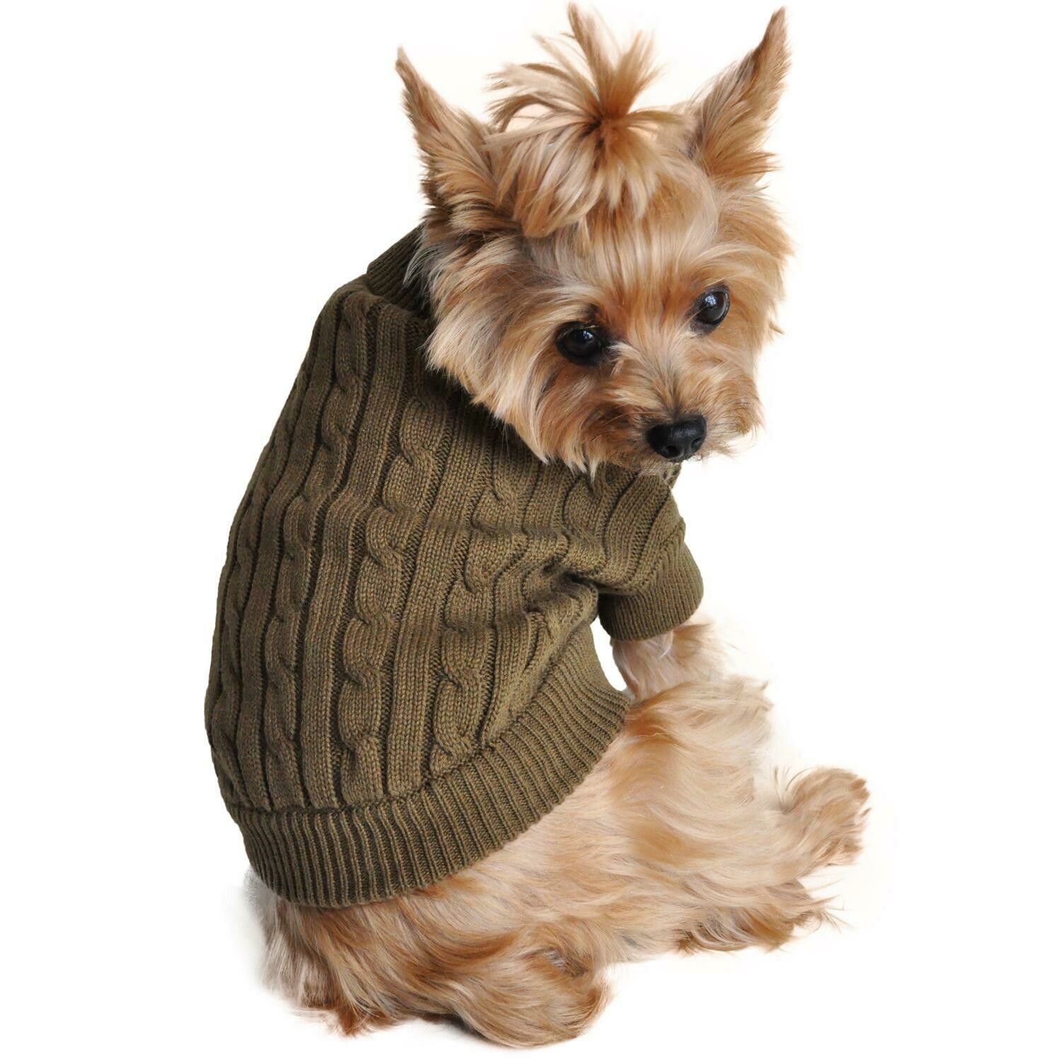 Dog Cable Knit 100% Cotton Sweater-Herb Green