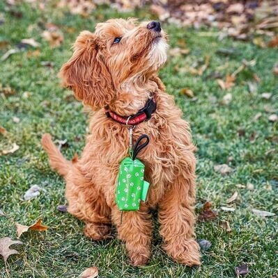 Duffel Waste Bag Holder- PAW