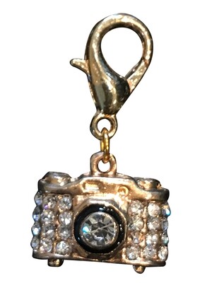 Dog Collar Charm, Camera