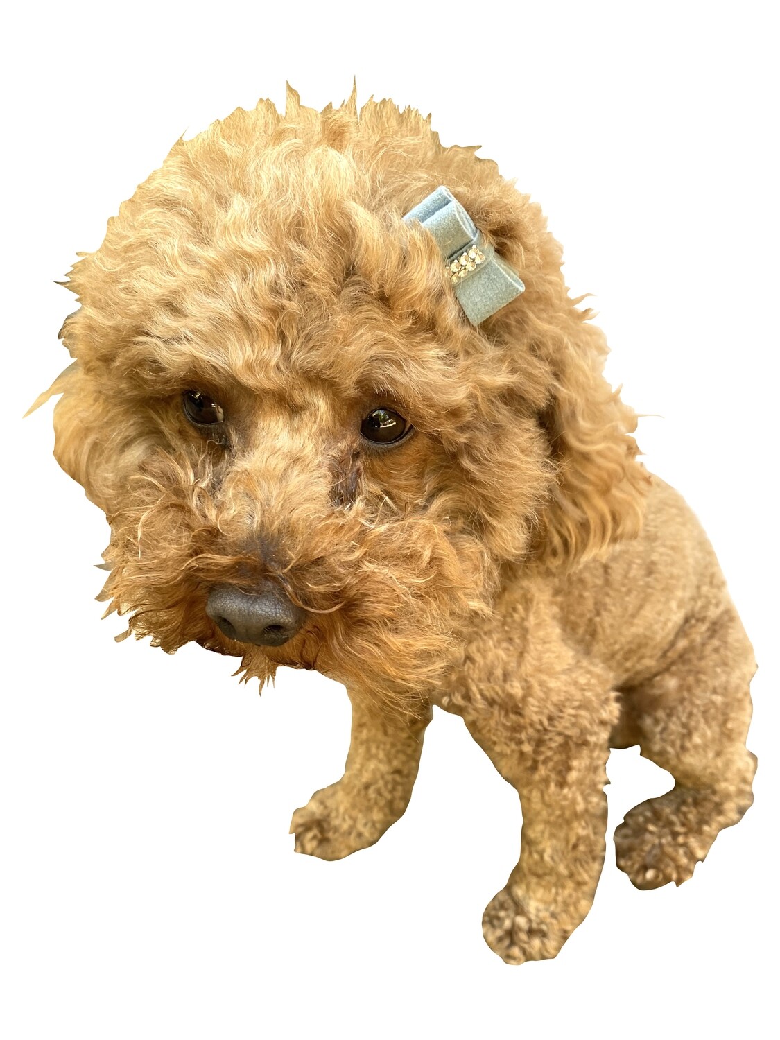 Teenie Tiny Ultra Suede Hair Bows, Horizon Blue