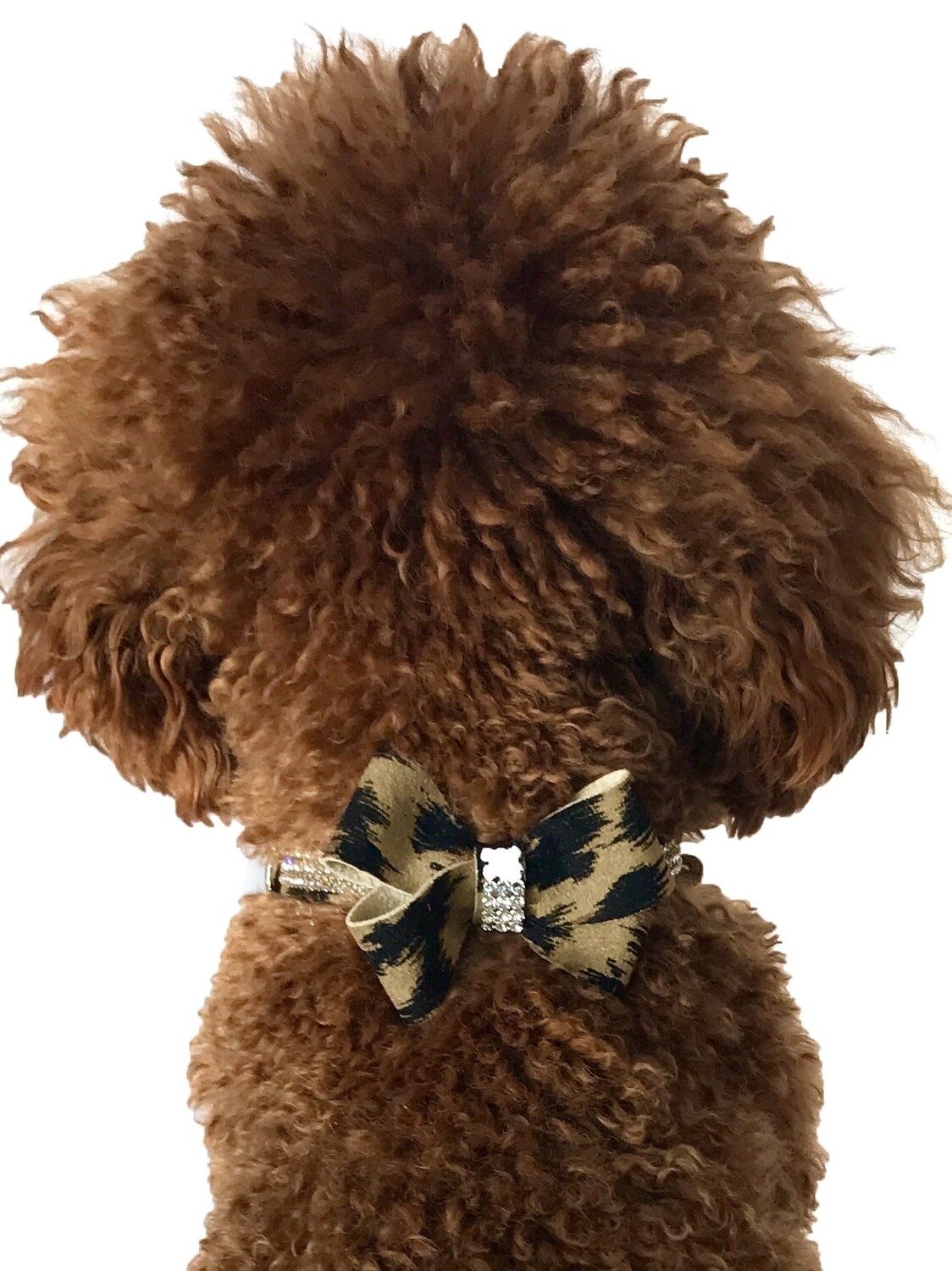 First Place Bow Slider, Leopard