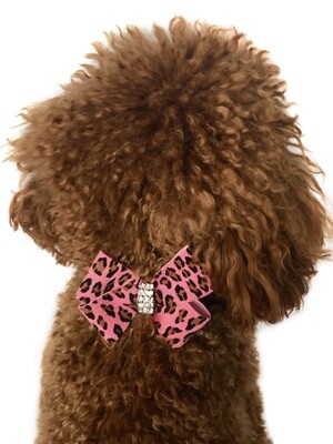 First Place Bow Slider, Pink Cheetah