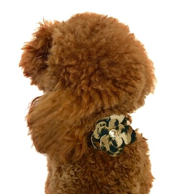 Garden Flower Slider, Leopard
