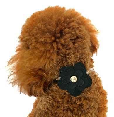 Garden Flower Slider, Black