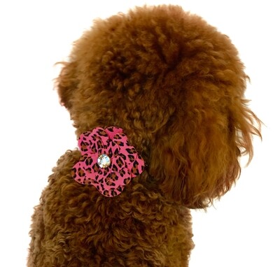 Garden Flower Slider, Pink Cheetah
