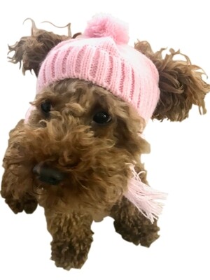 Scottish Cable Knit, Hat, Pink