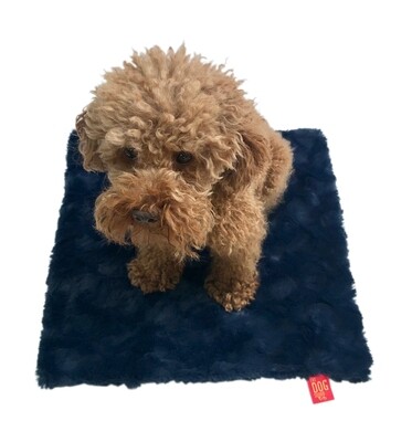 Carrier Square, Bella, Navy Blue