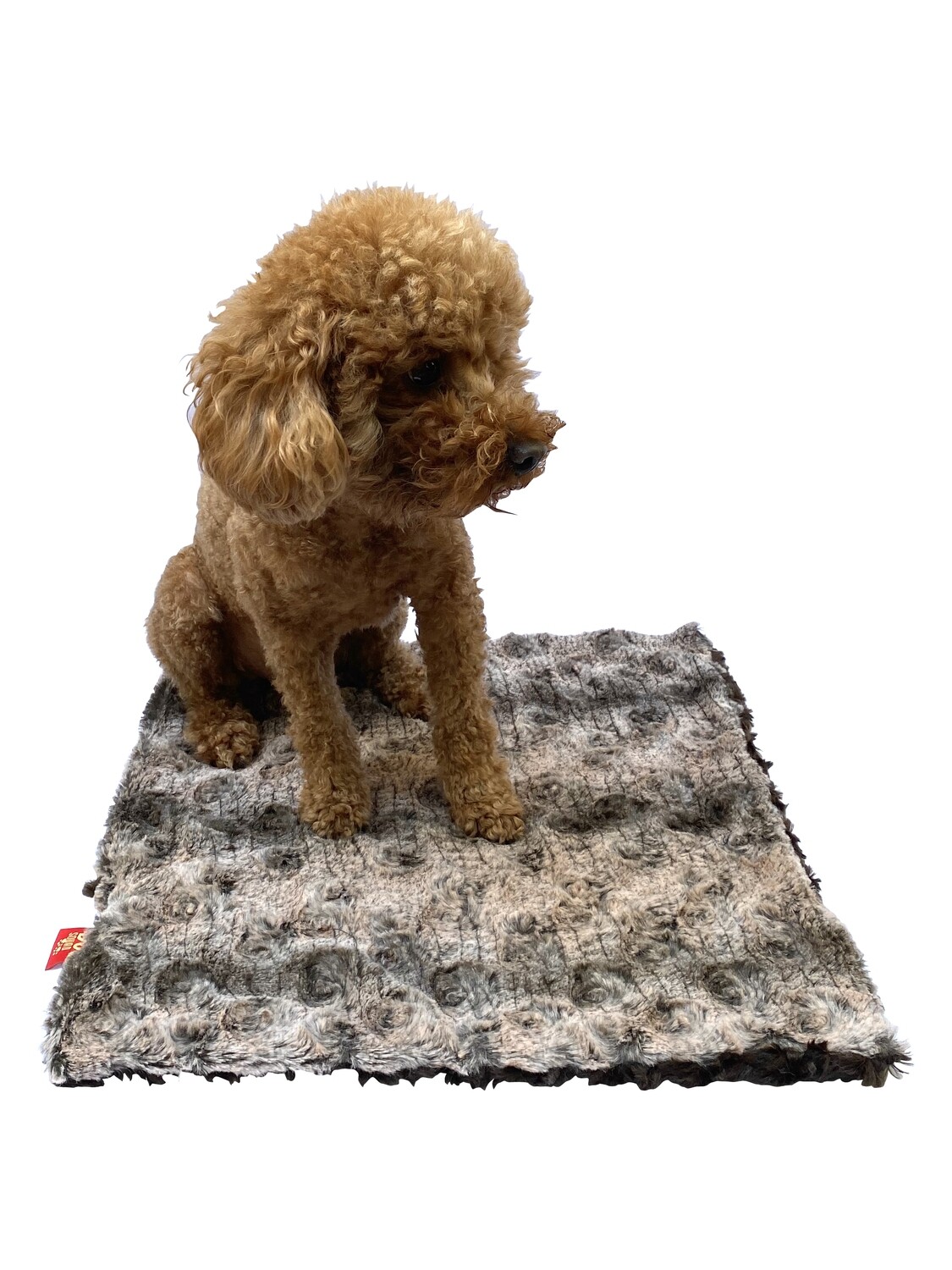 Carrier Square, Alligator print