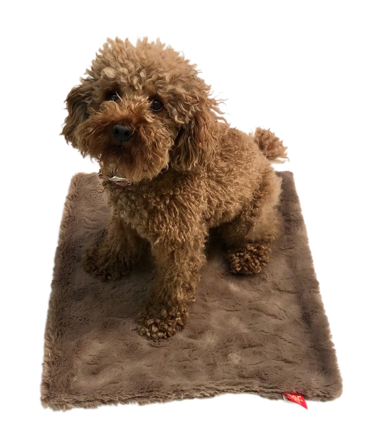Carrier Square, Bella, Mocha